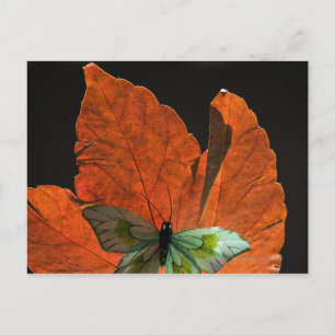 Carte Postale Papillon sur la feuille 2