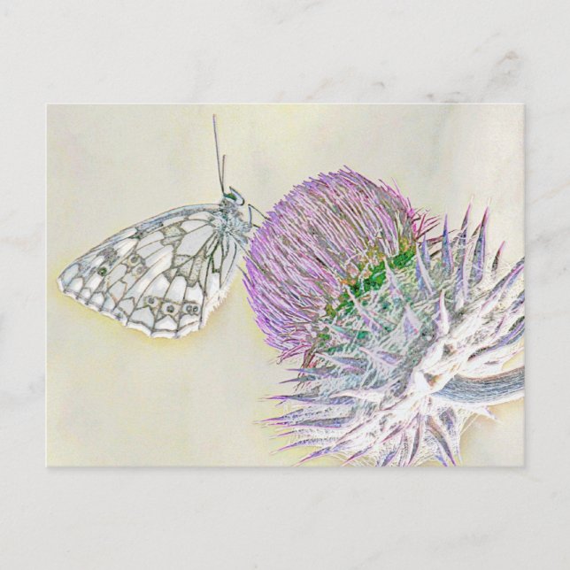 Carte Postale Papillon sur une fleur rouge (Devant)