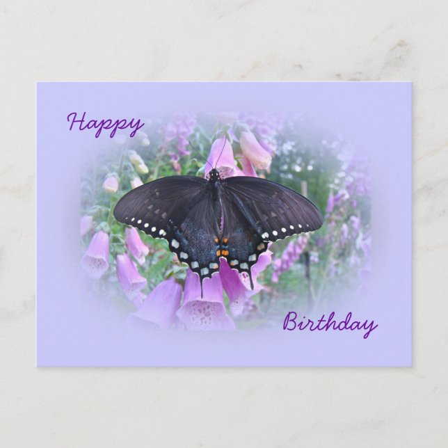 Carte Postale Papillon swallowtail de l'épice d'anniversaire (Devant)