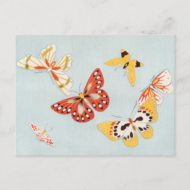 Carte postale papillon vintage (Devant)