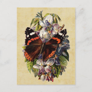 Carte postale papillon vintage