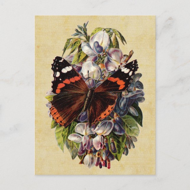 Carte postale papillon vintage (Devant)