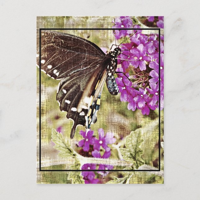 Carte Postale Papillon vintage à fleurs (Devant)