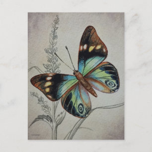 Carte Postale Papillon vintage no 1 Aquarelle Art