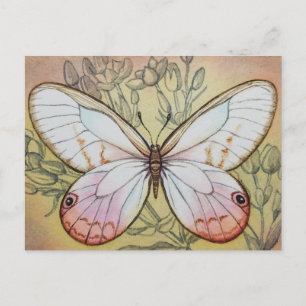 Carte Postale Papillon vintage no 6 Aquarelle Art