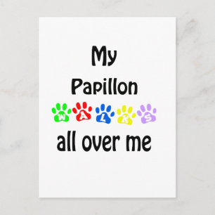 Carte Postale Papillon Walks Design