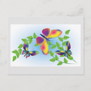 Carte Postale Papillons