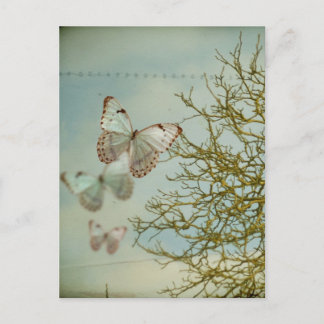 Carte postale Papillons