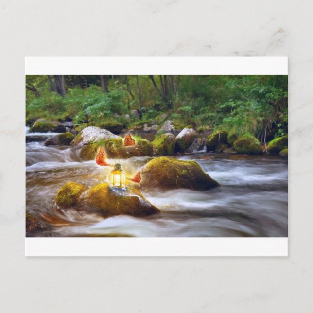 Carte Postale Papillons (Devant)