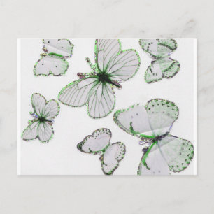 carte postale papillons