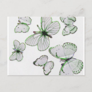 carte postale papillons