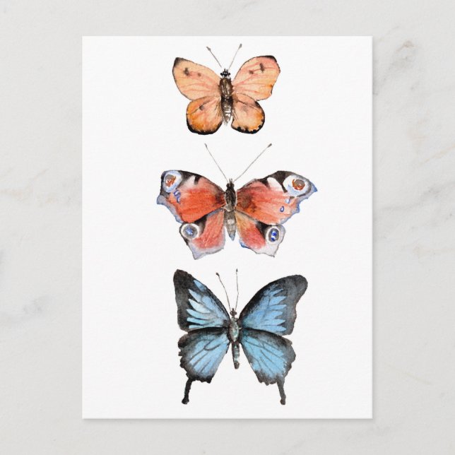 Carte Postale Papillons (Devant)
