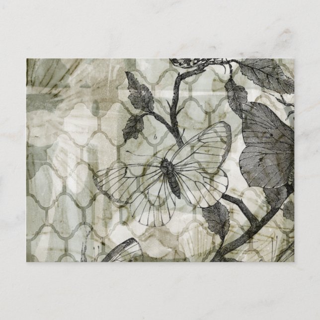 Carte Postale Papillons arabes II (Devant)