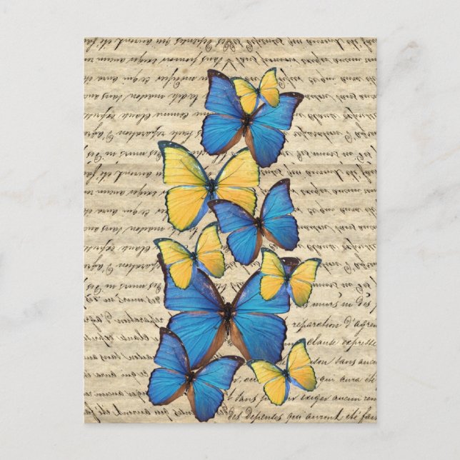 Carte Postale Papillons bleus et jaunes (Devant)