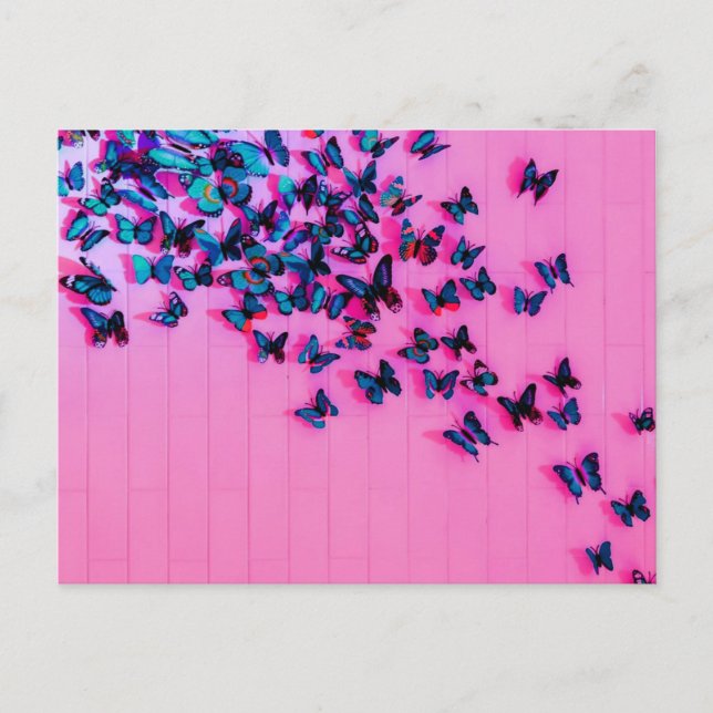 Carte Postale Papillons Bleus Rose Beaux (Devant)