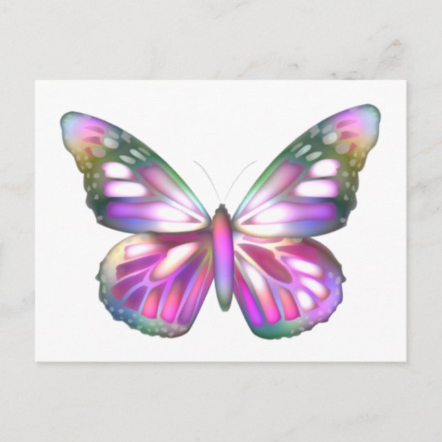 Carte Postale Papillons colorés (Devant)