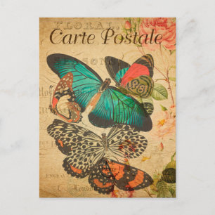 Carte Postale Papillons colorés vintages et Moth French
