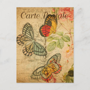 Carte Postale Papillons colorés vintages Fleurs florales Françai