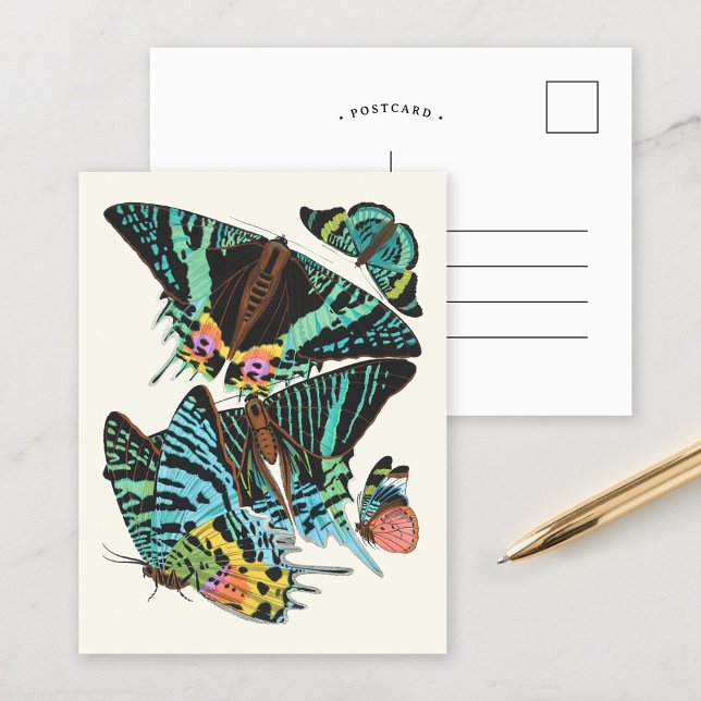 Carte Postale Papillons | Emile-Allain Séguy -> (Créateur téléchargé)