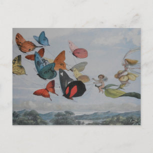 Carte Postale Papillons et papillons de la reine des fées