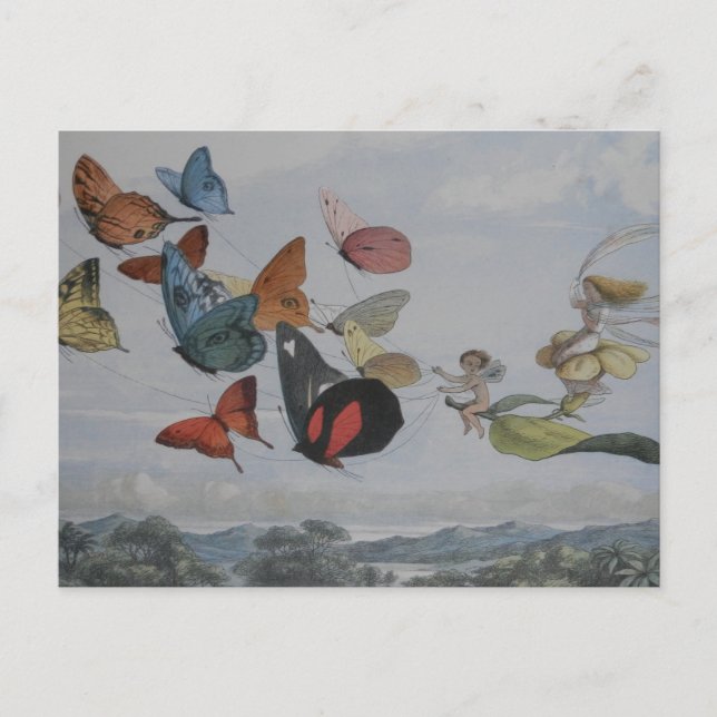 Carte Postale Papillons et Reine Fée Papillons Fées (Devant)
