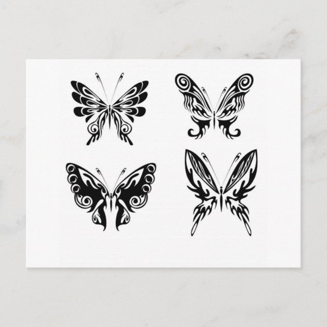 Carte Postale Papillons noirs et blancs (Devant)