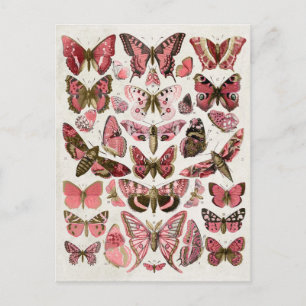 Carte Postale Papillons rose vintage