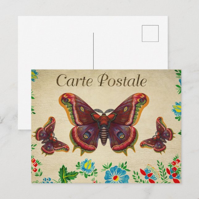 Carte Postale Papillons rouges Vintages (Devant / Derrière)
