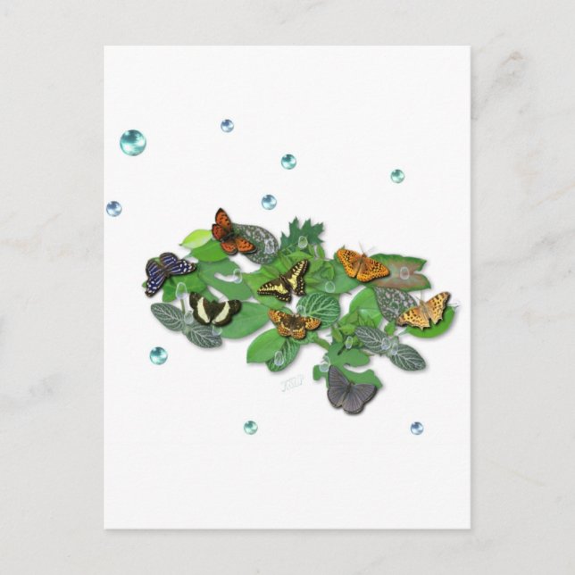 Carte Postale Papillons sur les feuilles (Devant)