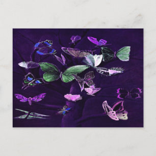 Carte Postale Papillons Sur Violet