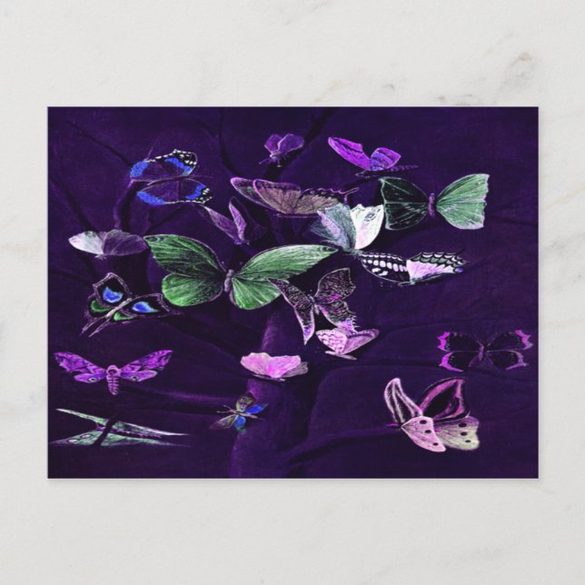 Carte Postale Papillons Sur Violet (Devant)
