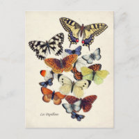 Papillons vintages