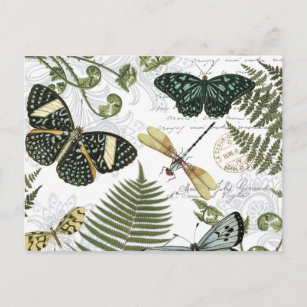 Carte Postale papillons vintages et libellules modernes