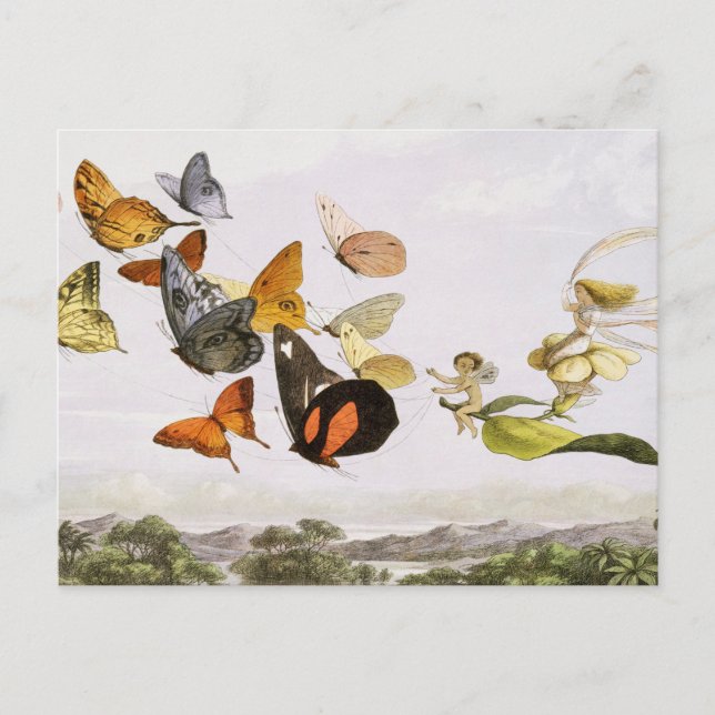 Carte Postale Papillons vintages & Fée Vieux art d'illustration (Devant)