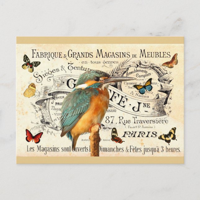 Carte Postale Papillons vintages & Kingfisher Bird sur Publicité (Devant)
