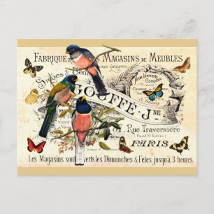 Carte Postale Papillons vintages & Oiseaux sur Publicité, Messag