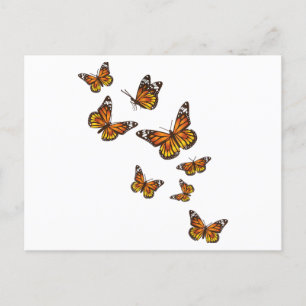 Carte Postale Papillons volants - Gardener à papillon Ento