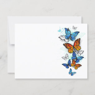 Carte Postale Papillons volants Morpho et Monarch