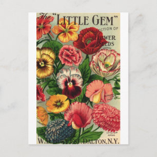 Carte Postale paquet de graines de gemme lil