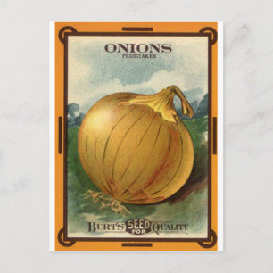 Carte Postale paquet de graines d'oignon