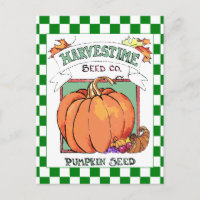 Paquet de semences de récolte de citrouille-automn