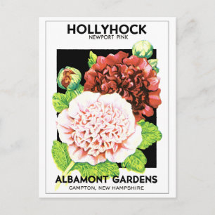 Carte Postale Paquet de semences Hollyhock rouge et rose vintage
