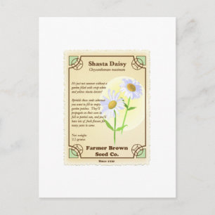 Carte Postale Paquet de semences Shasta Daisy