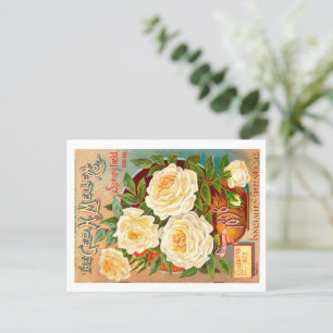 Carte Postale Paquet de semences vintage.