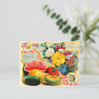 Paquet de semences vintage.