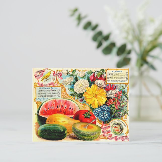 Carte Postale Paquet de semences vintage. (Debout devant)