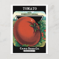 Paquet de semences vintage Art Étiquette, Tomato P
