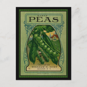 Carte Postale Paquet de semences Vintage pour petits pois