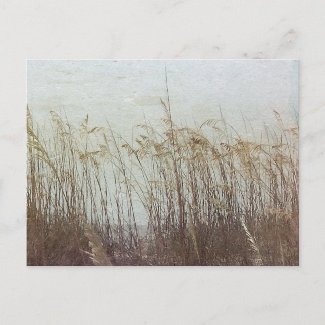 Carte Postale Par les dunes II (Devant)