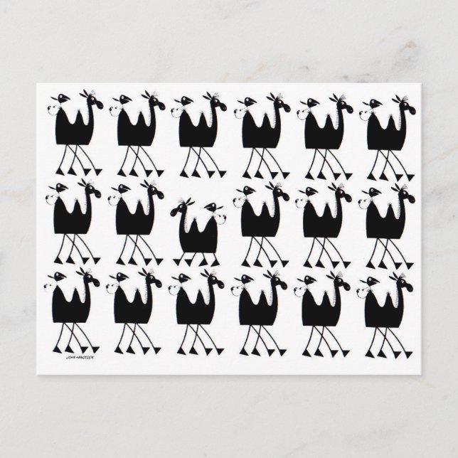 Carte Postale Parade de chameaux (Devant)